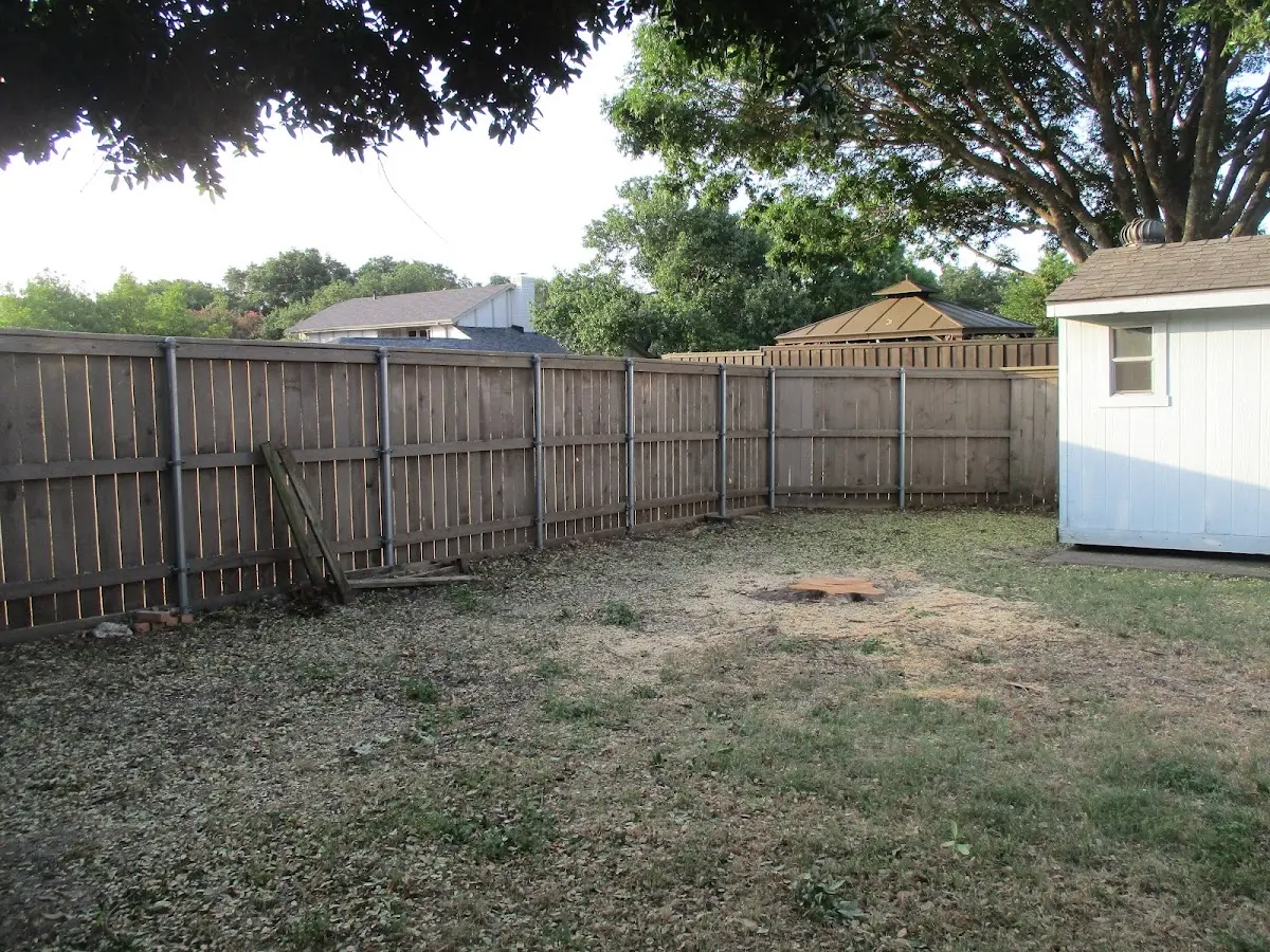 Cleared yard after professional tree removal in Cherry Valley