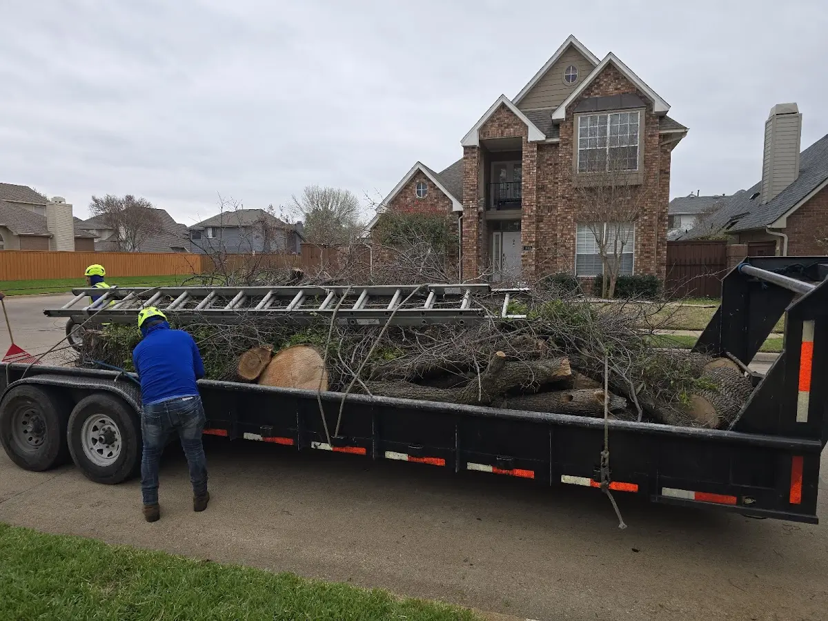 Expert Lot Clearing with proper safety equipment in Cherry Valley